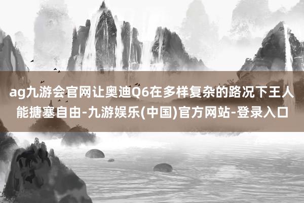 ag九游会官网让奥迪Q6在多样复杂的路况下王人能搪塞自由-九游娱乐(中国)官方网站-登录入口